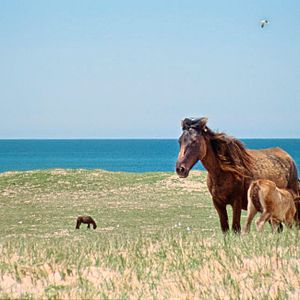 Bilder Geographies Of Solitude