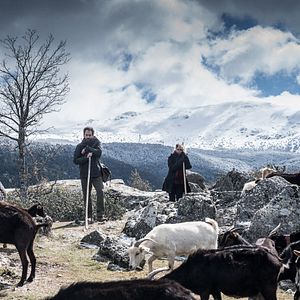 Bilder Jesús Carroza