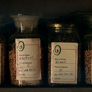 Bilder Vandana Shiva – Ein Leben für die Erde