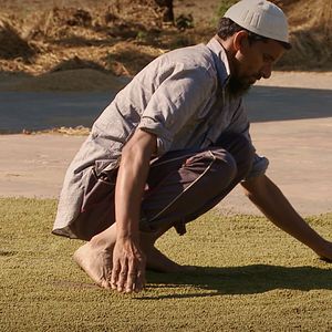 Bilder Vandana Shiva – Ein Leben für die Erde