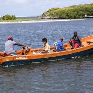 Bilder Deadly Tropics