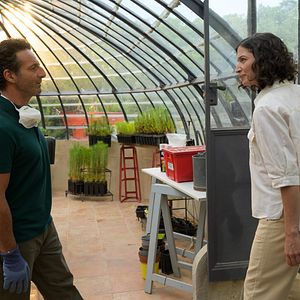 Bilder Laurent Mouton