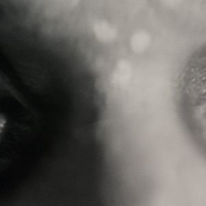 Bilder Werewolf By Night (Black & White)