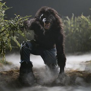 Bilder Under Wraps 2