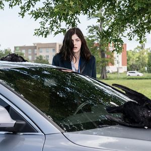 Bilder Alexandra Daddario