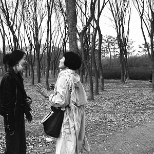 Bilder Die Schriftstellerin, ihr Film und ein glücklicher Zufall