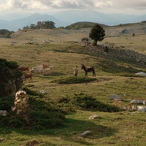 Bilder Il Buco - Ein Höhlengleichnis