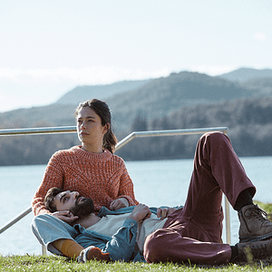 Bilder Girasoles silvestres