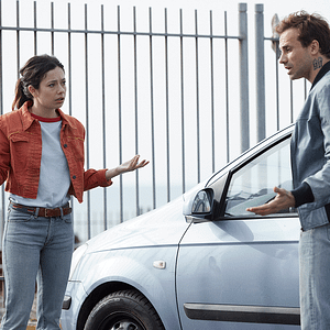 Bilder Girasoles silvestres