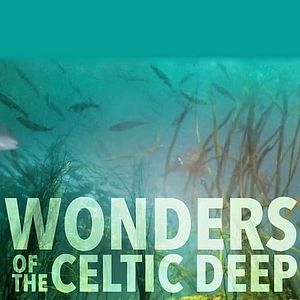 Bilder Wunder der Keltischen See