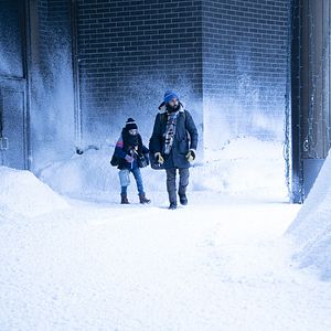 Bilder Matilda Lawler