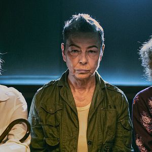 Bilder Die grünen Handschuhe