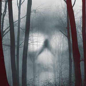 Bilder 28 Days Haunted