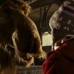 Bilder Es ist ein Elch entsprungen