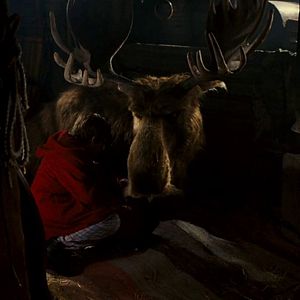 Bilder Es ist ein Elch entsprungen