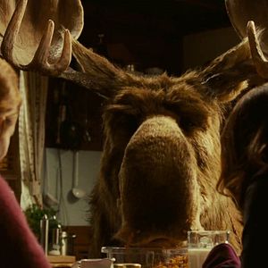 Bilder Es ist ein Elch entsprungen