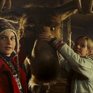 Bilder Es ist ein Elch entsprungen