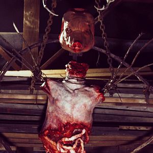 Bilder The Long Dark Trail