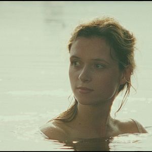 Bilder Die Purpursegel