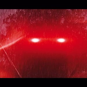 Bilder The Killing Tree