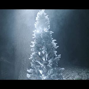 Bilder The Killing Tree