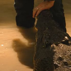 Bilder Wild Croc Territory