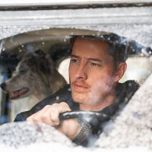 Bilder The Noel Diary