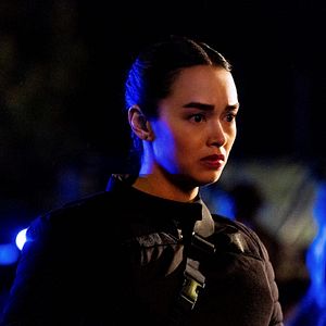 Bilder FBI: International