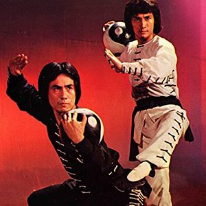 Bilder Tai Chi Devil Dragons