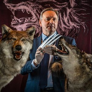 Bilder Inspector Barnaby