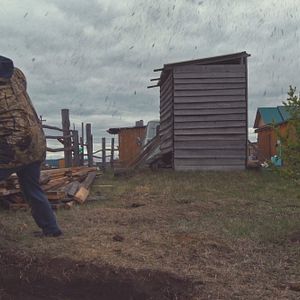 Bilder Sibirisch für Anfänger