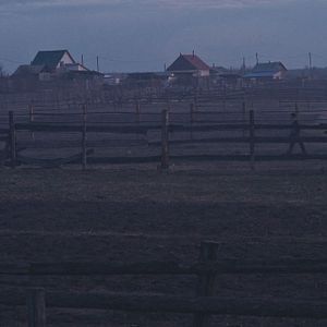 Bilder Sibirisch für Anfänger