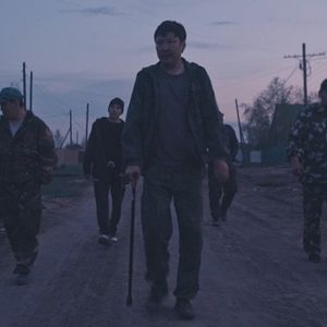 Bilder Sibirisch für Anfänger