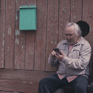 Bilder Sibirisch für Anfänger