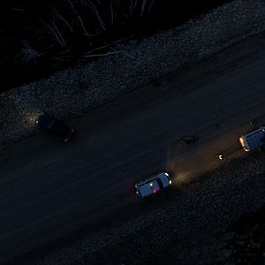 Bilder Sibirisch für Anfänger