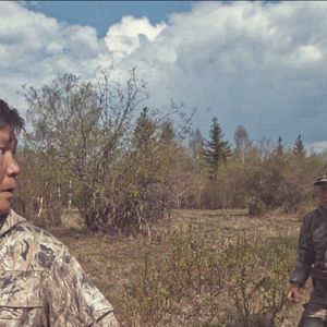 Bilder Sibirisch für Anfänger