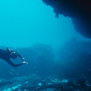 Bilder Blueback - Eine tiefe Freundschaft