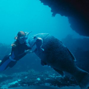 Bilder Blueback - Eine tiefe Freundschaft