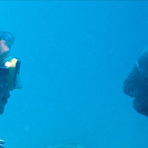 Bilder Blueback - Eine tiefe Freundschaft