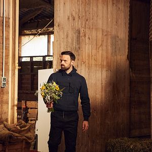 Bilder Verirrte Kugel 2