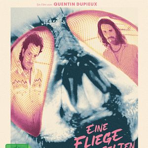 Bilder Eine Fliege kommt selten allein