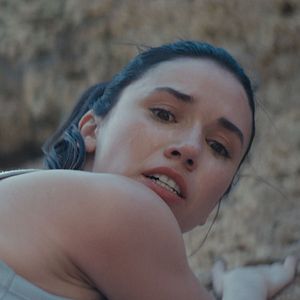 Bilder Fall - Fear Reaches New Heights