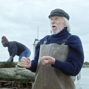 Bilder Der Geschmack der kleinen Dinge