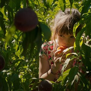 Bilder Alcarràs - Die letzte Ernte