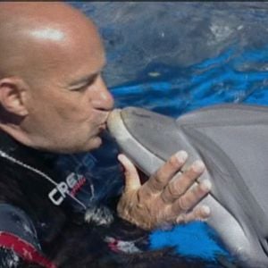 Bilder Was geschah mit dem Delfin-König?