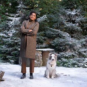 Bilder The Noel Diary