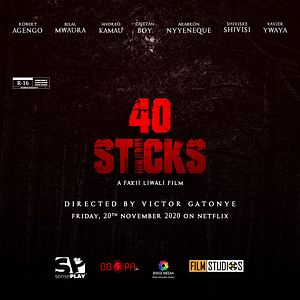 Bilder 40 Sticks
