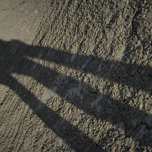 Bilder L.A. Tea Time