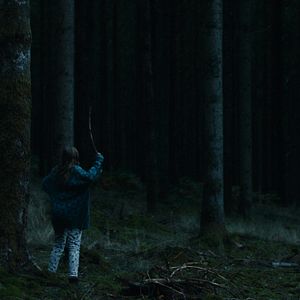 Bilder Le Coeur noir des forêts