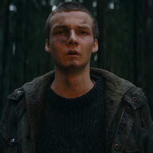 Bilder Le Coeur noir des forêts